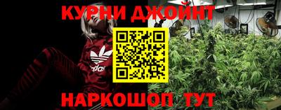 jwh Кинель