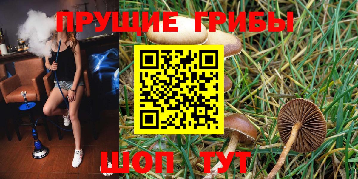 Псилоцибиновые грибы Cubensis  где купить наркотик  Кирово-Чепецк  Галлюциногенные грибы GOLDEN TEACHER  Вход с VPN 