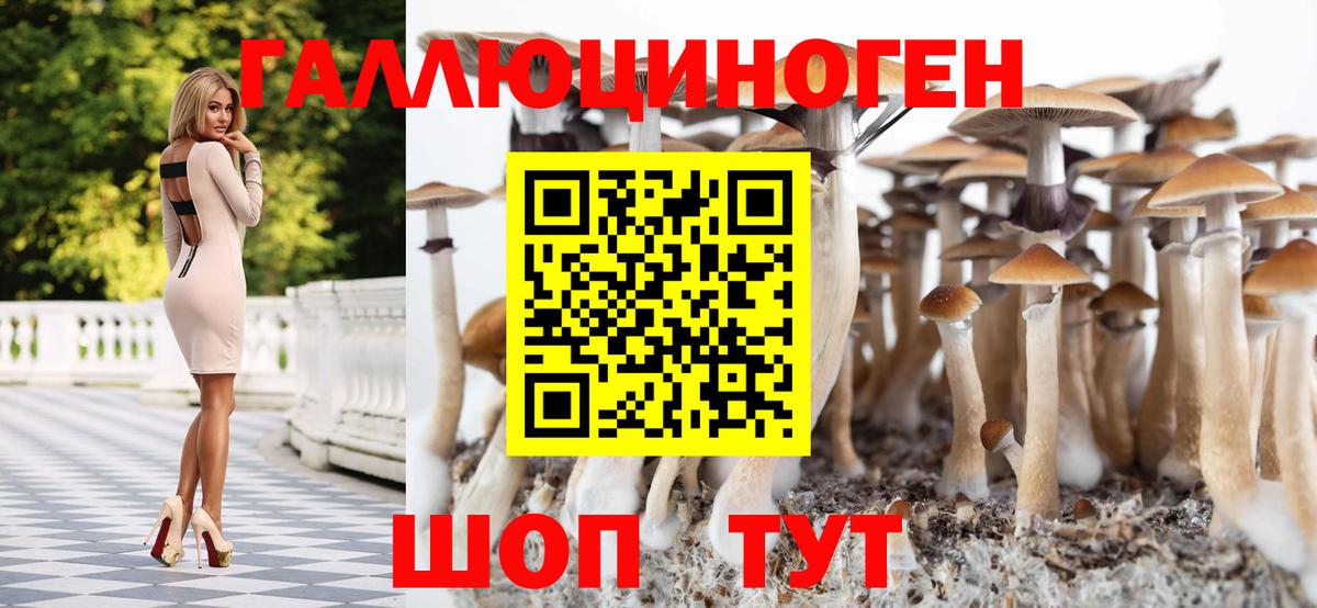 Псилоцибиновые грибы Magic Shrooms Кирово-Чепецк